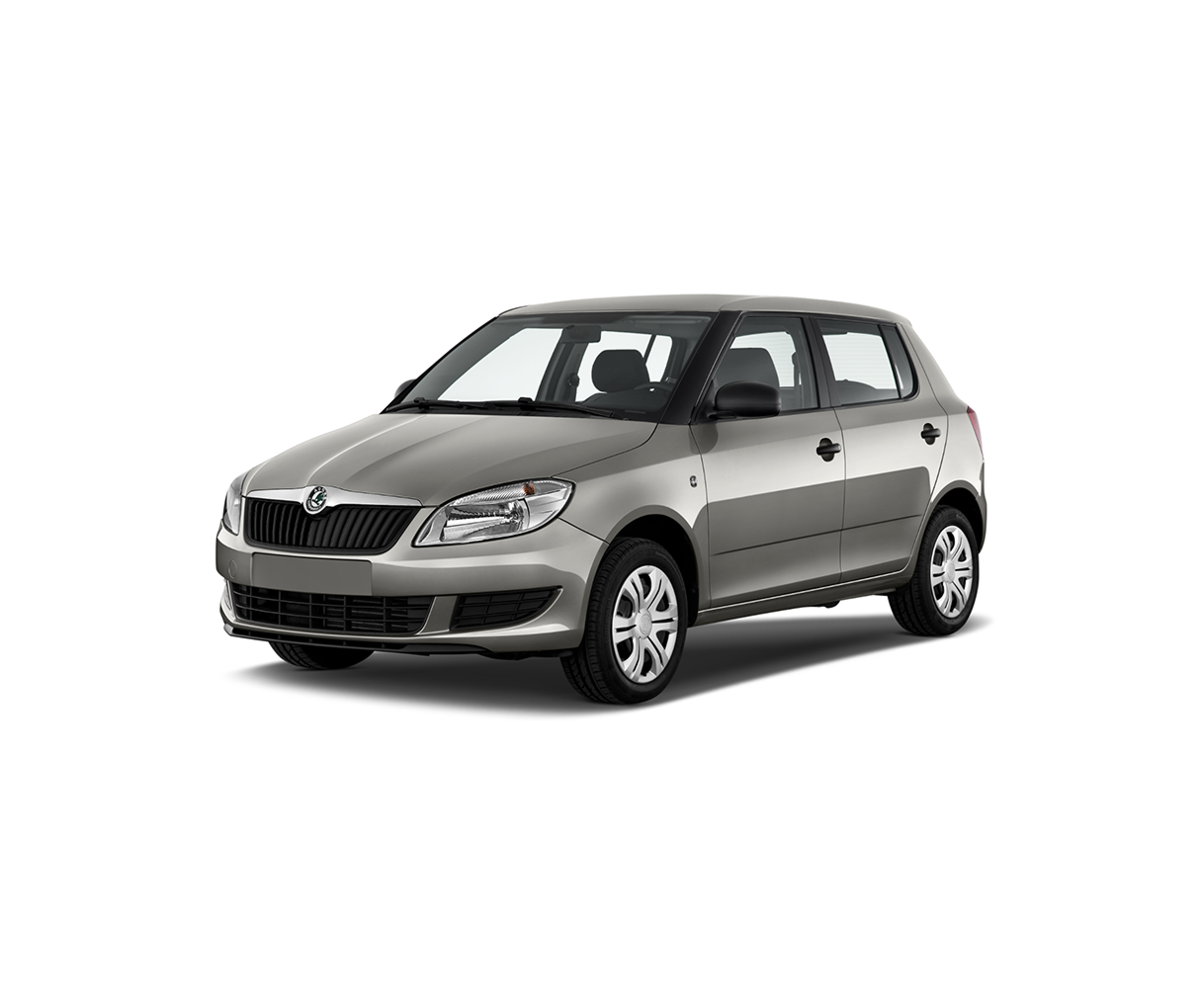 AUTOPOZICOVNA POPRAD FABIA